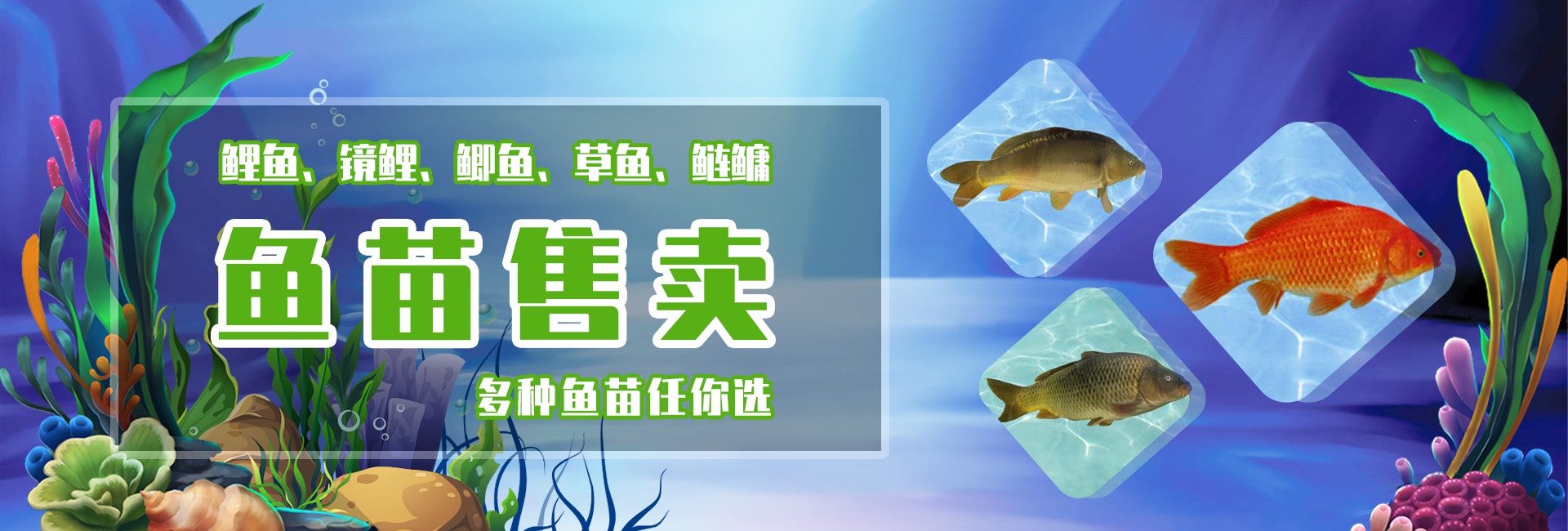 &#20122;&#23089;&#20307;&#32946;