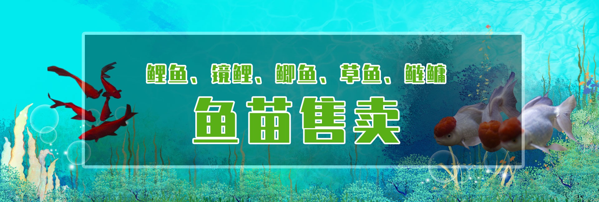 &#20122;&#23089;&#20307;&#32946;