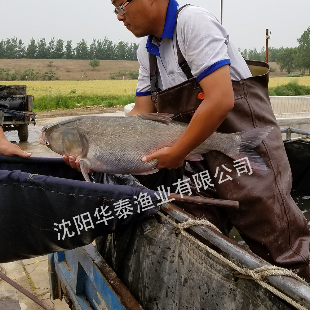 &#20122;&#23089;&#20307;&#32946;