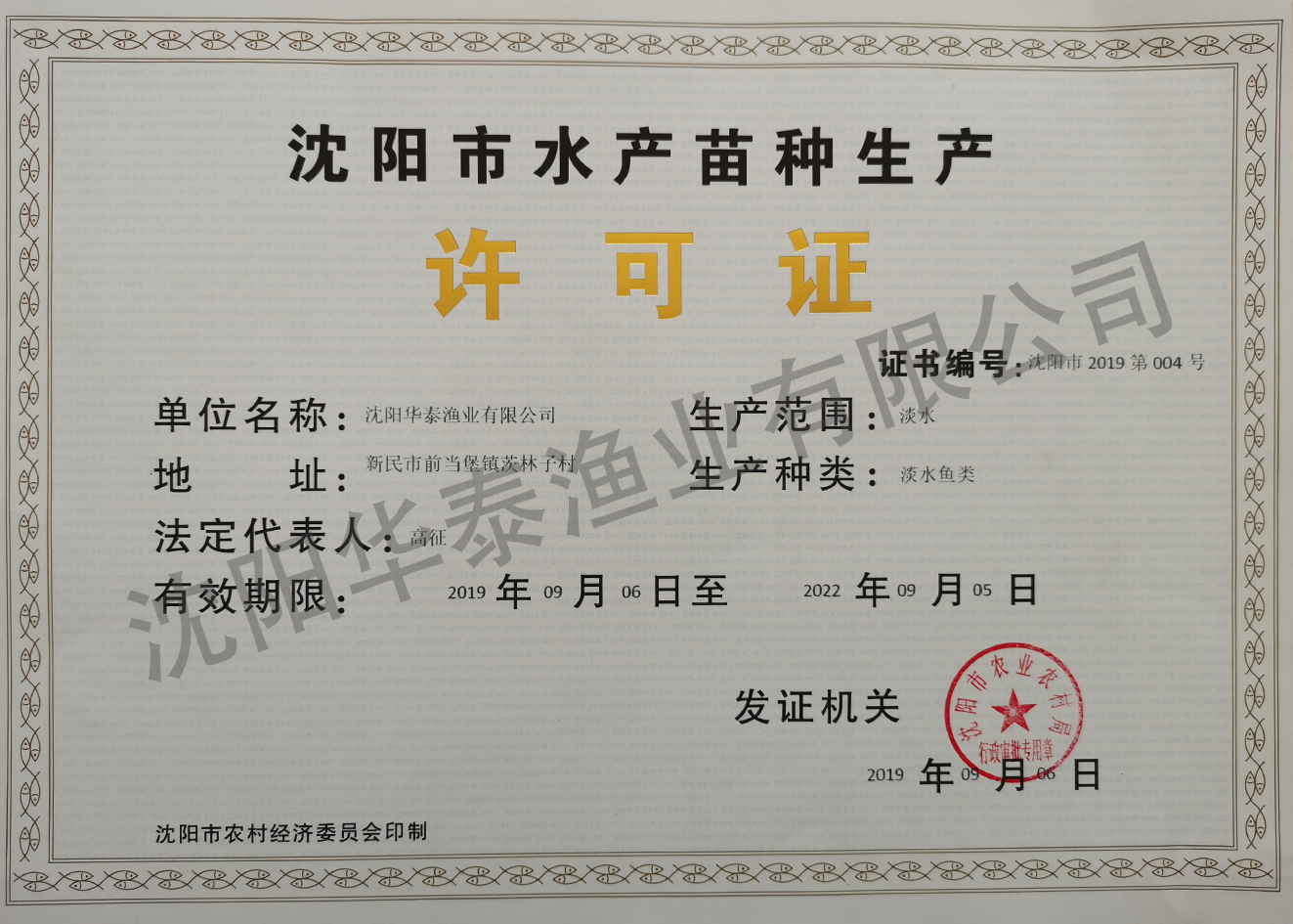 &#20122;&#23089;&#20307;&#32946;