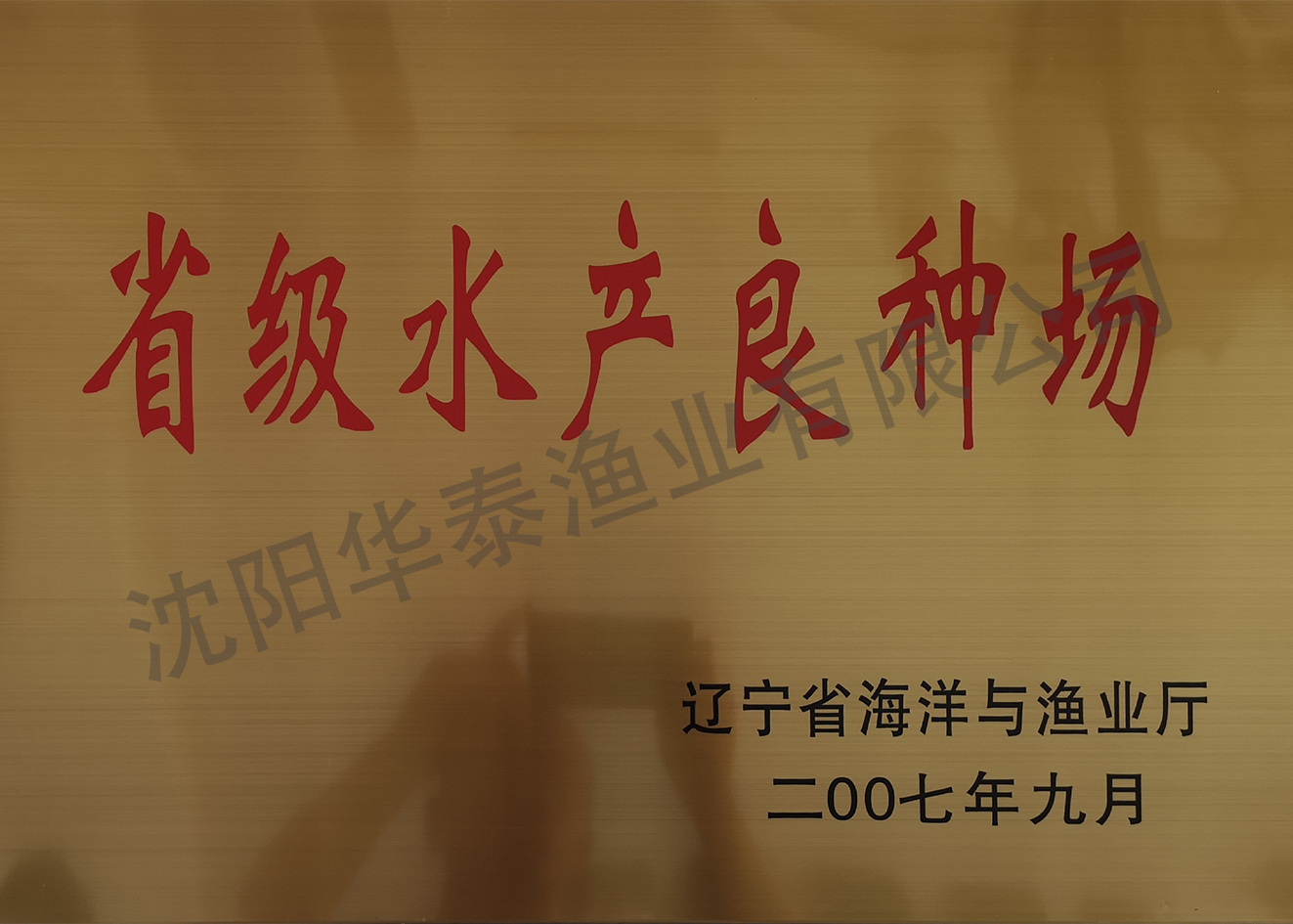 &#20122;&#23089;&#20307;&#32946;