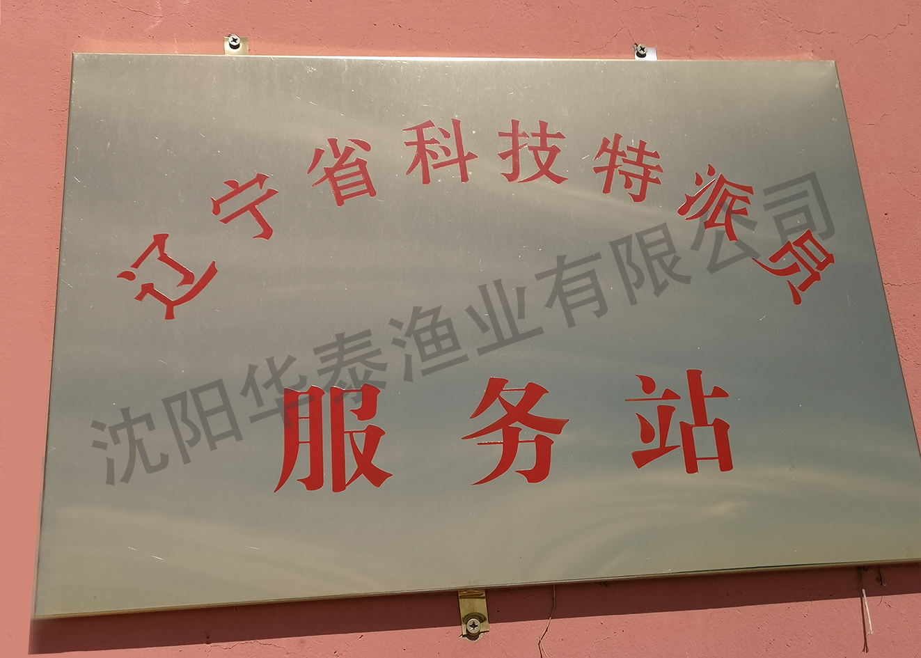 &#20122;&#23089;&#20307;&#32946;