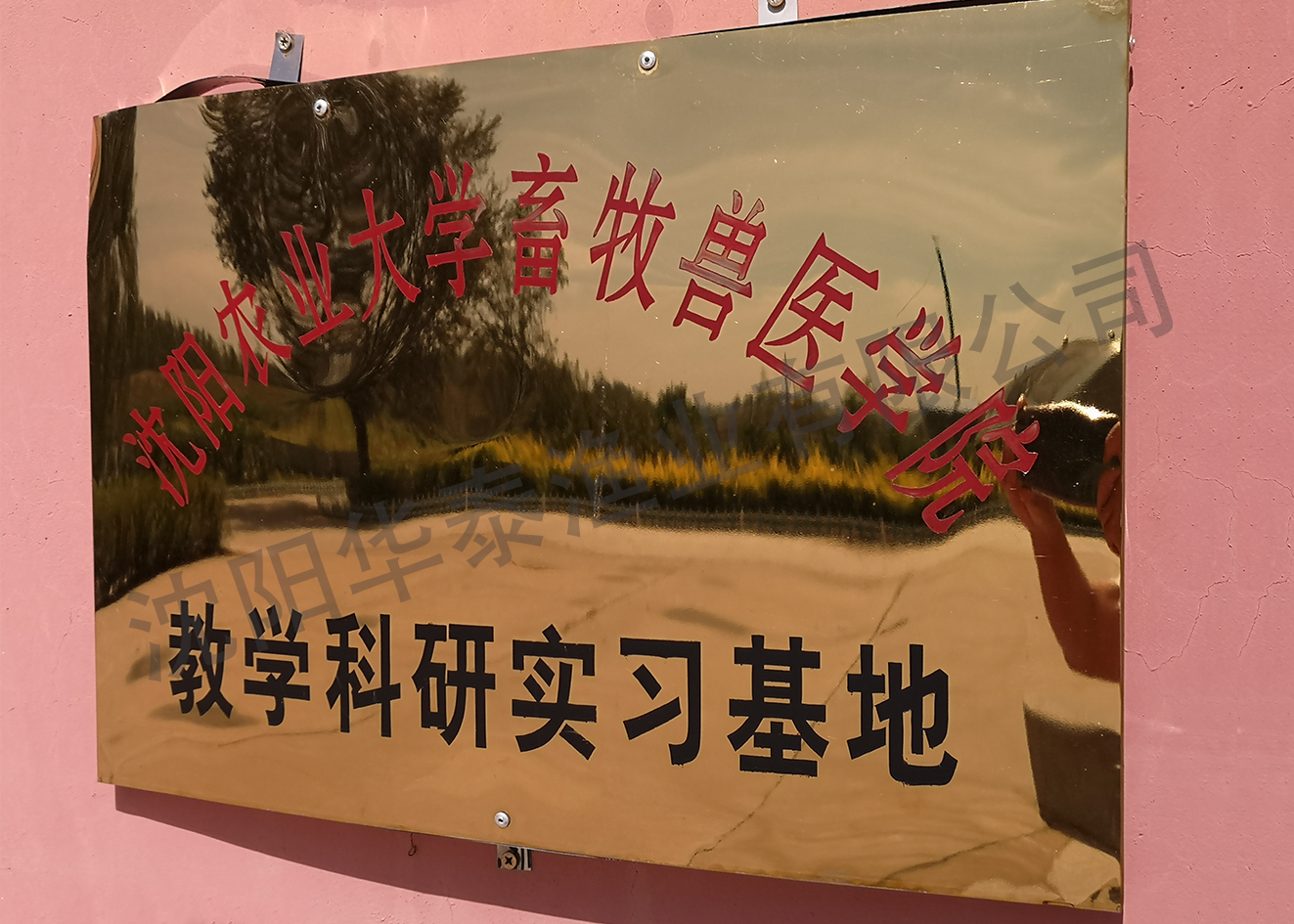 &#20122;&#23089;&#20307;&#32946;